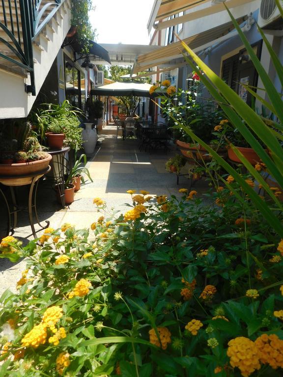 Hotel Blumentag باولا المظهر الخارجي الصورة
